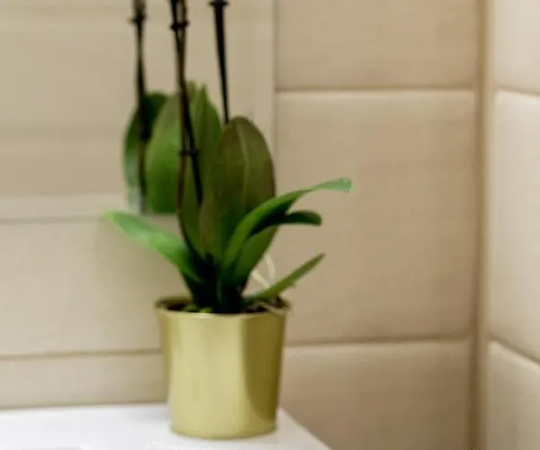 Hotel Prestige Boutique Craiova